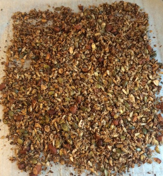 granola frederikke brasch nielsen